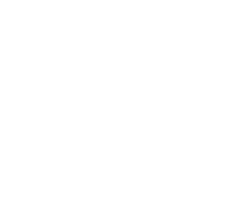 Camela Camel Milk Logo